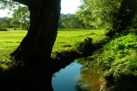 Giornata mondiale dell’acqua, le iniziative del parco del Ticinello