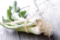 Come preparare gli involtini di parti verdi di porro e ortaggi