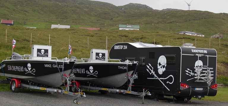imbarcazioni sea shepherd