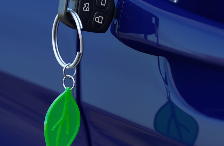 Car key with green leaf keychain