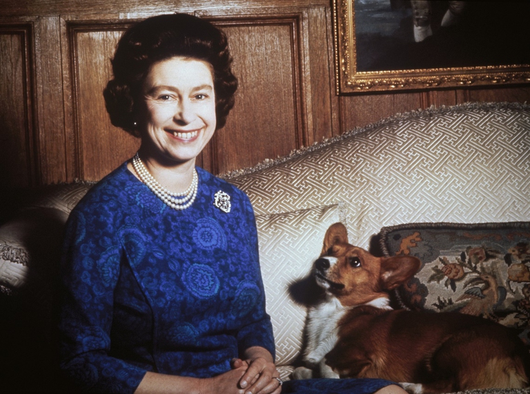 La regina Elisabetta con un Welsh Corgi Pembroke