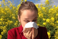 Il bio contro l’allergia