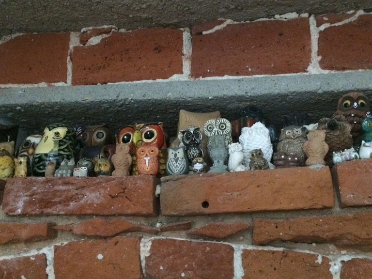 'Senza casa senza cosa?' , Maurizio Cilli