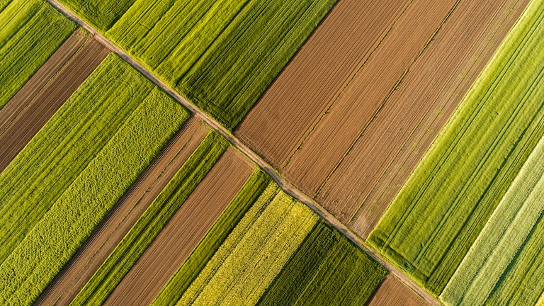 proteste agricoltori