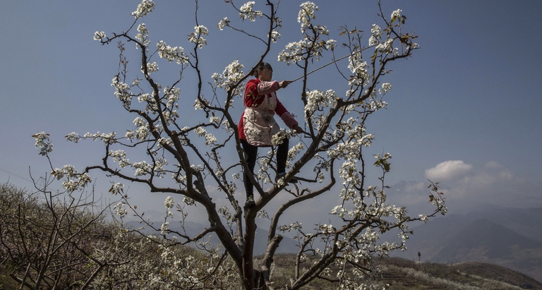 La tutela della biodiversità è fondamentale anche per affrontare la crisi climatica