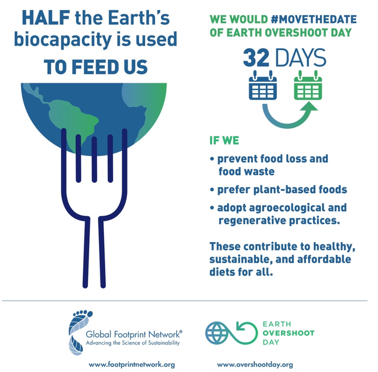 Metà della capacità biologica della Terra è usata per sfamarci 