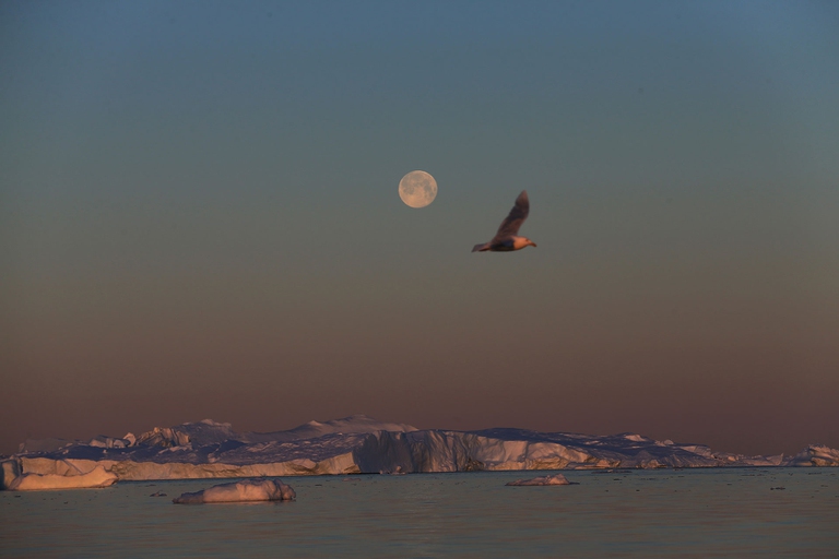 fusione dei ghiacci in Groenlandia