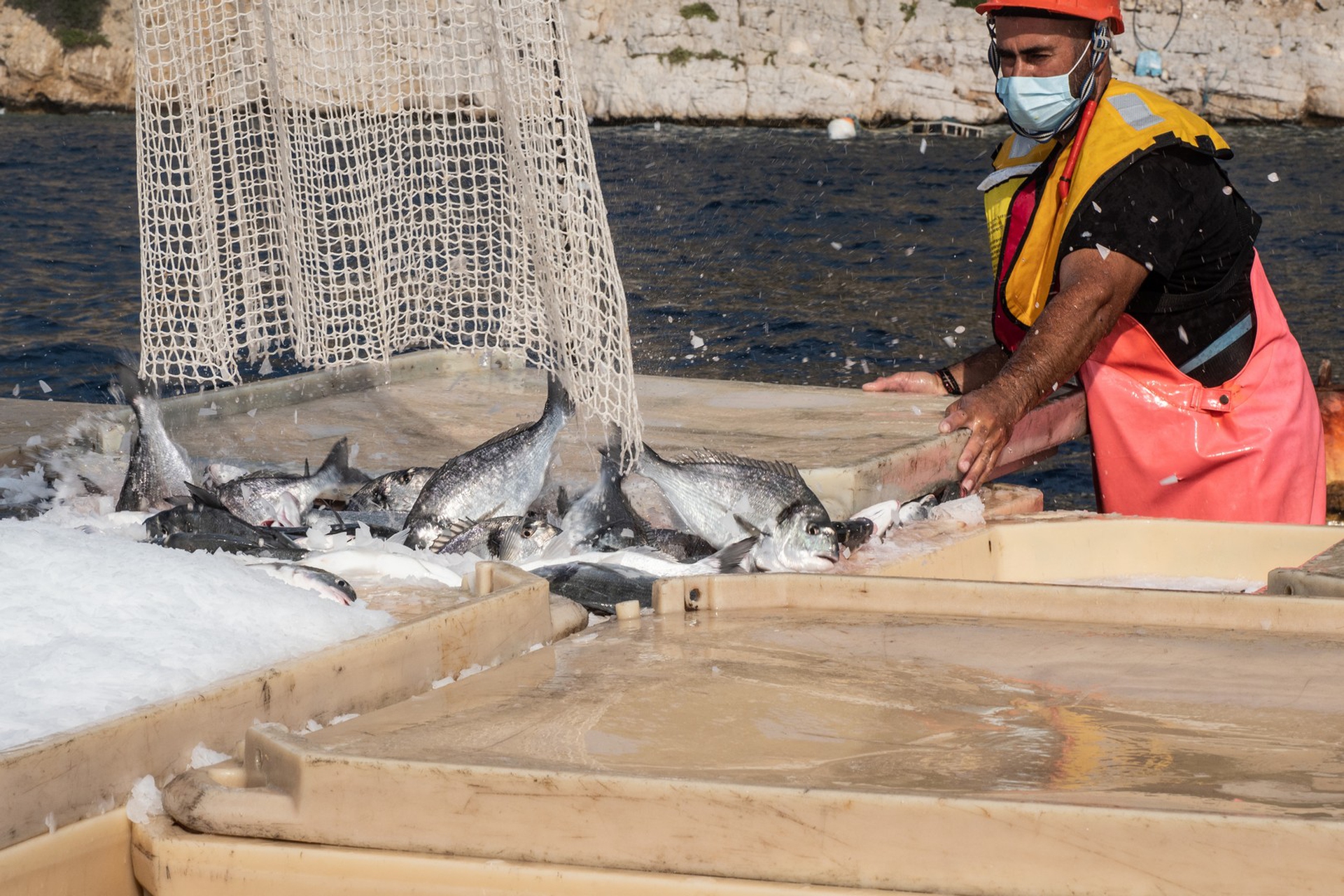 Un allevamento intensivo di pesci in Grecia
