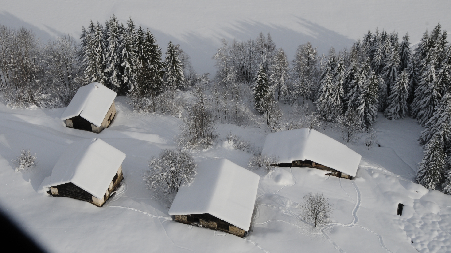 Paesaggi Inverno Peio