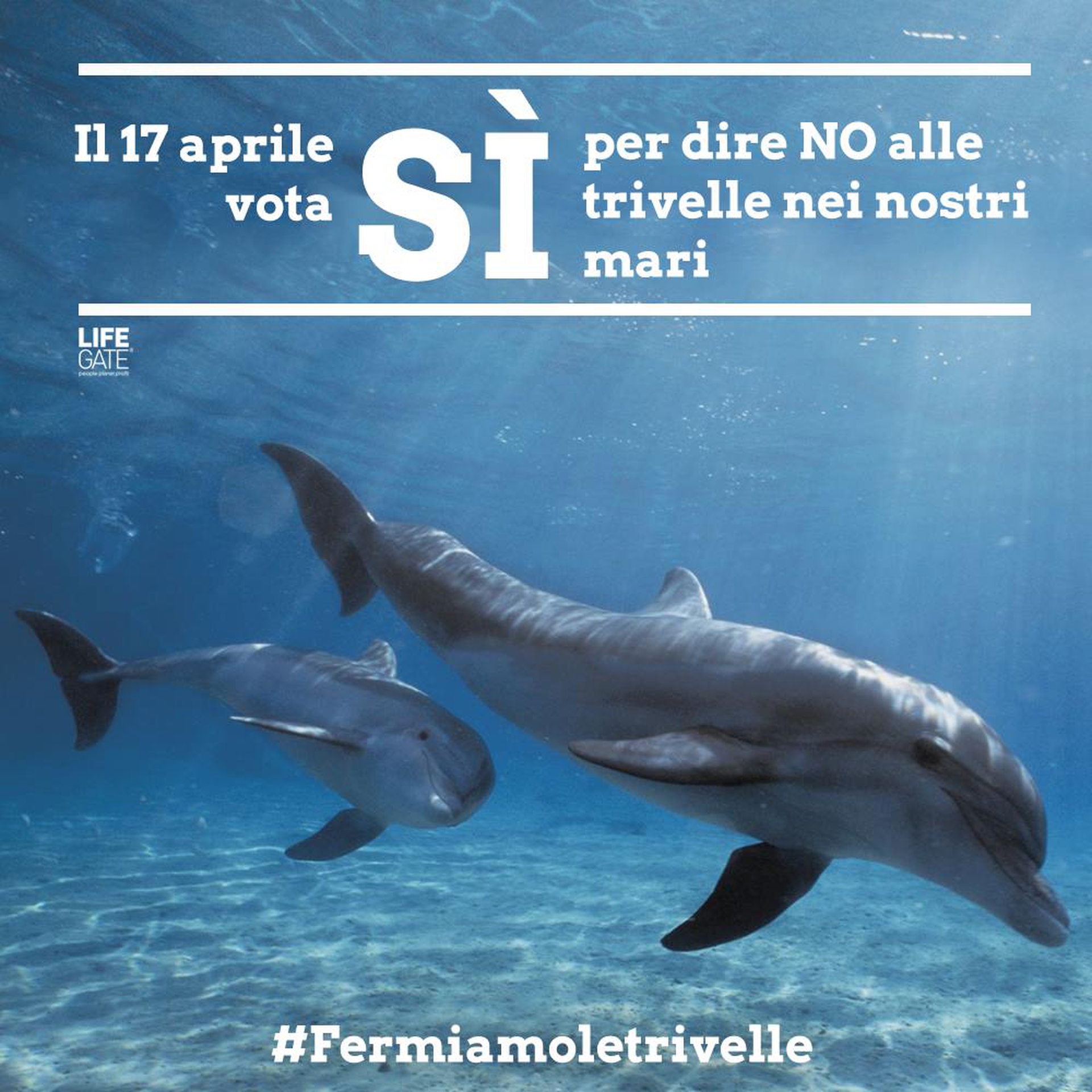 Vota sì per dire #NoTrivelle