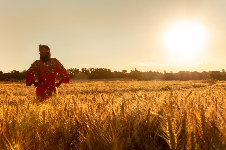 Campo di grano in Africa