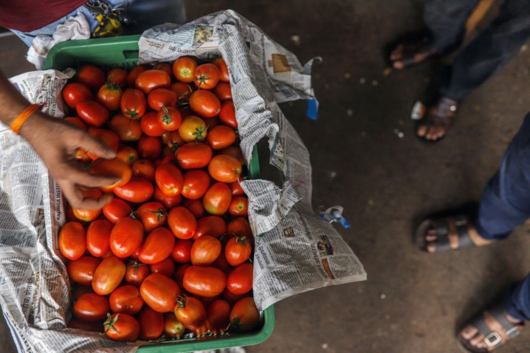 pomodori india