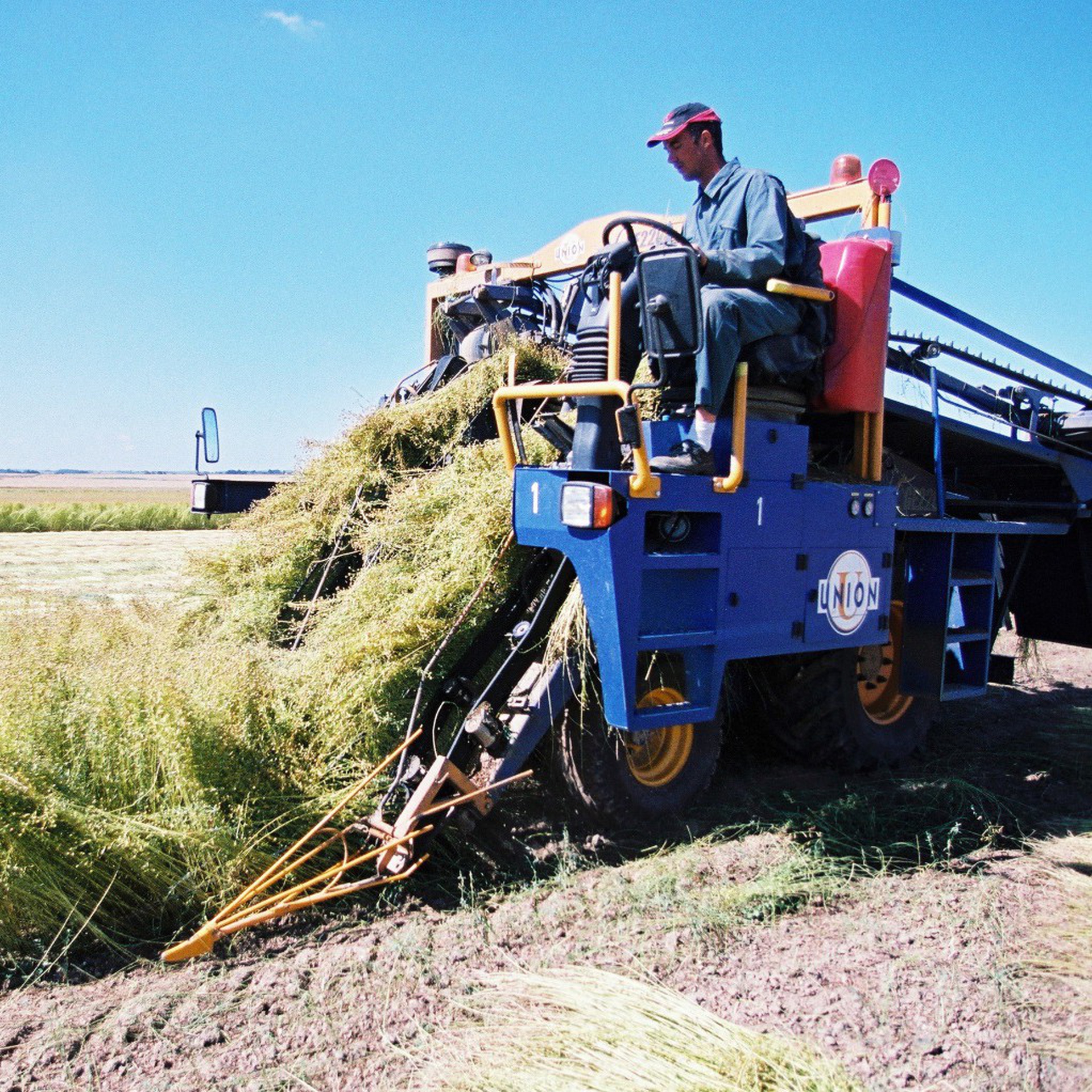 La sostenibilità del lino