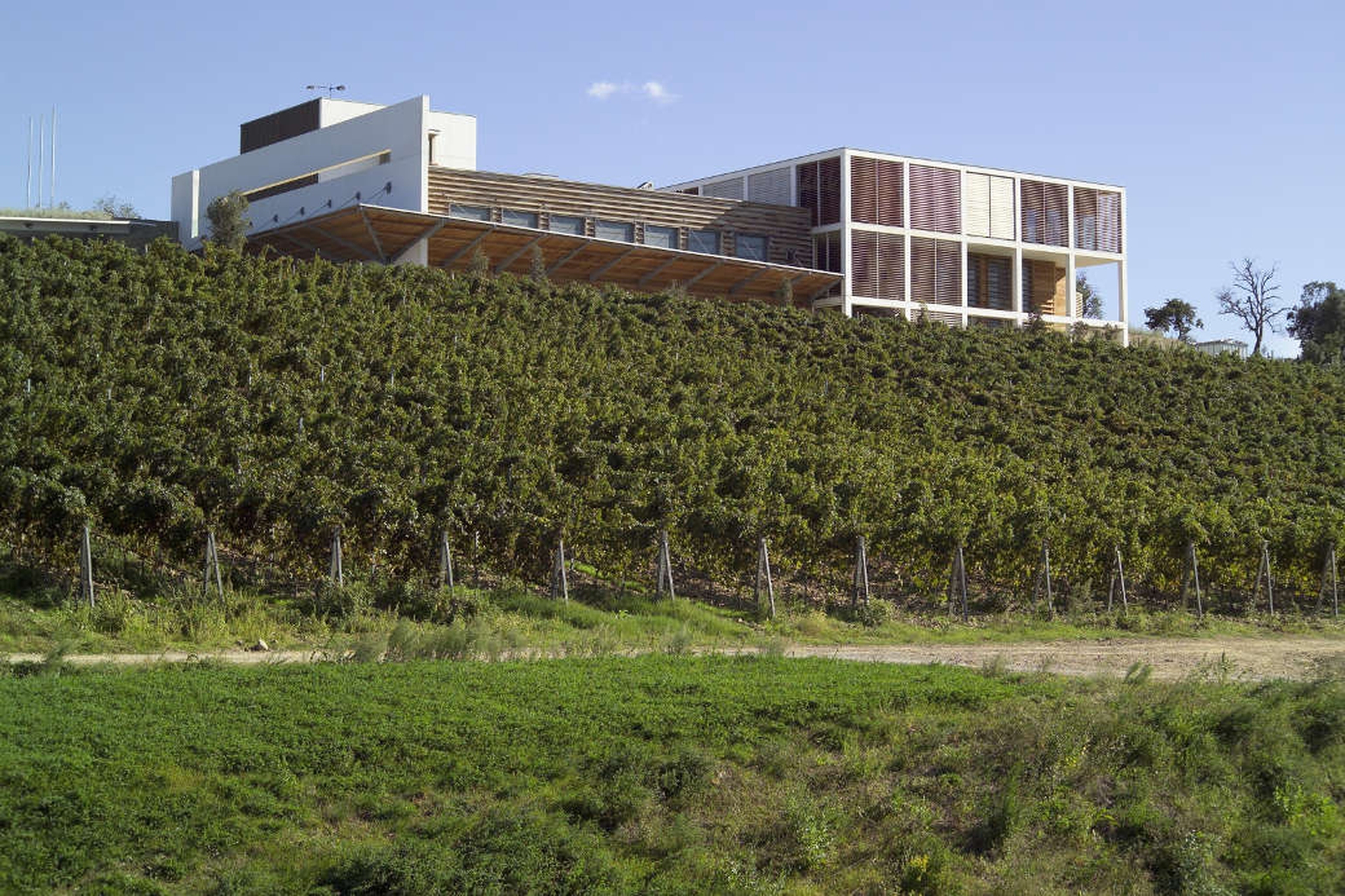 Le cantine più belle della Toscana