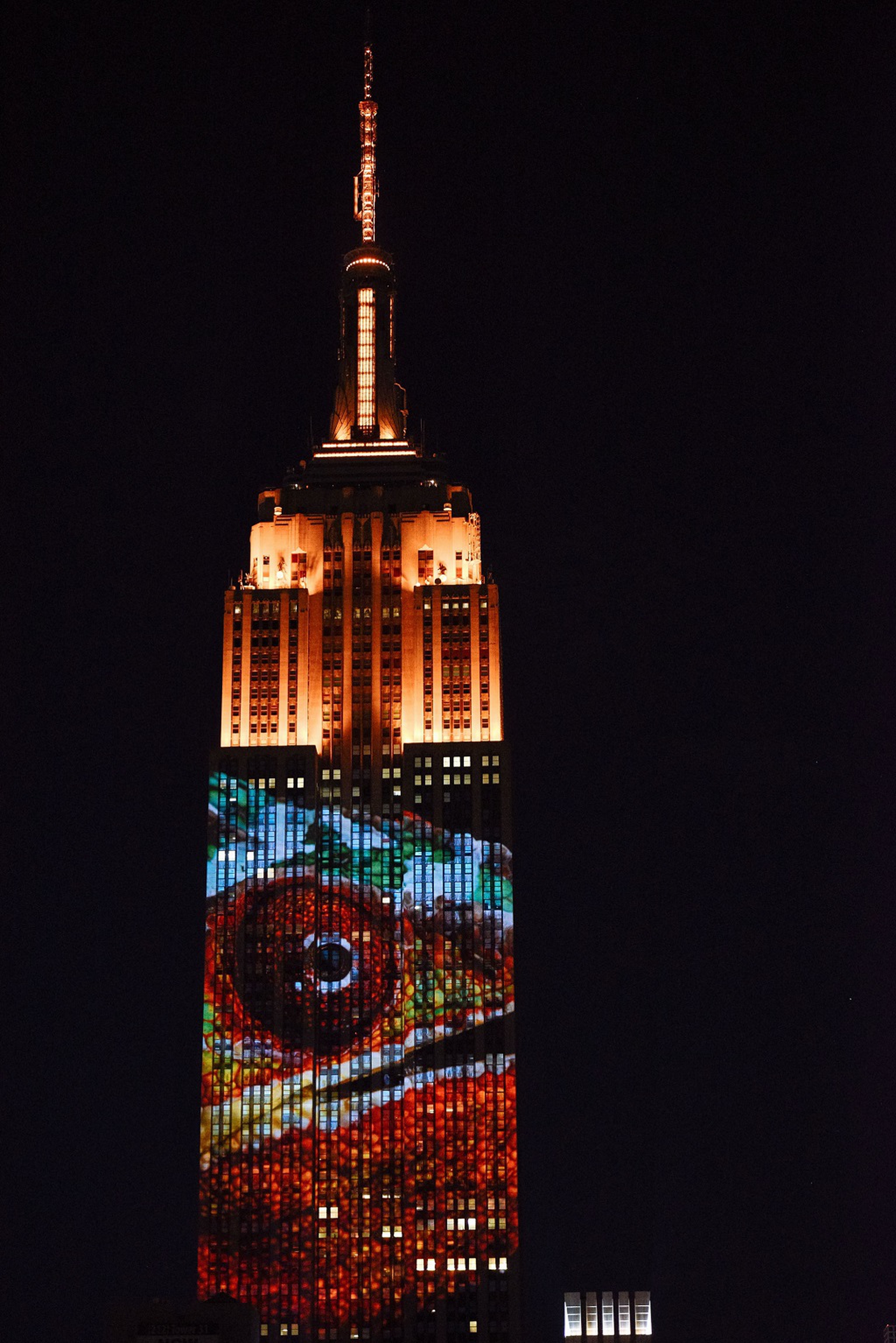 camaleonte proiettato su Empire State Building