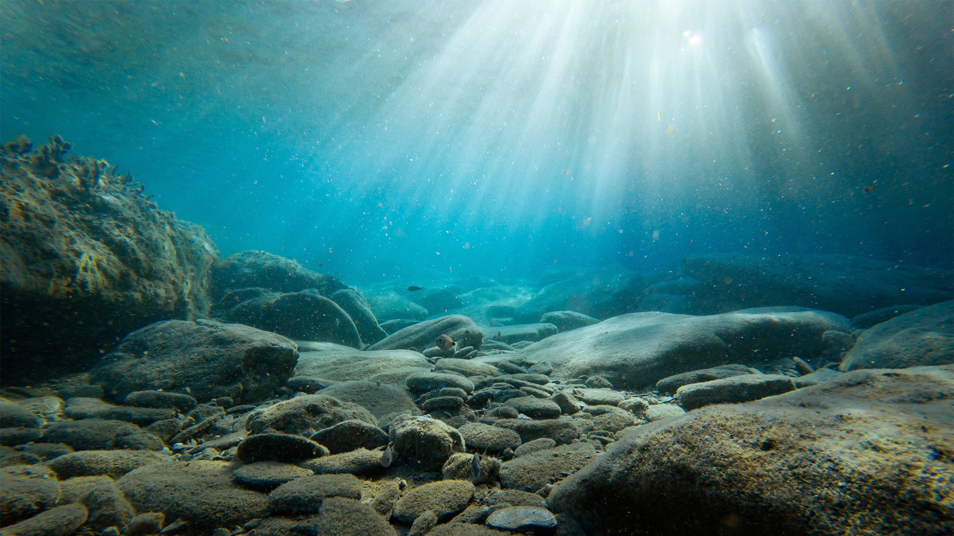 chiaro blu mare acqua e un' scogliera con coralli durante lo