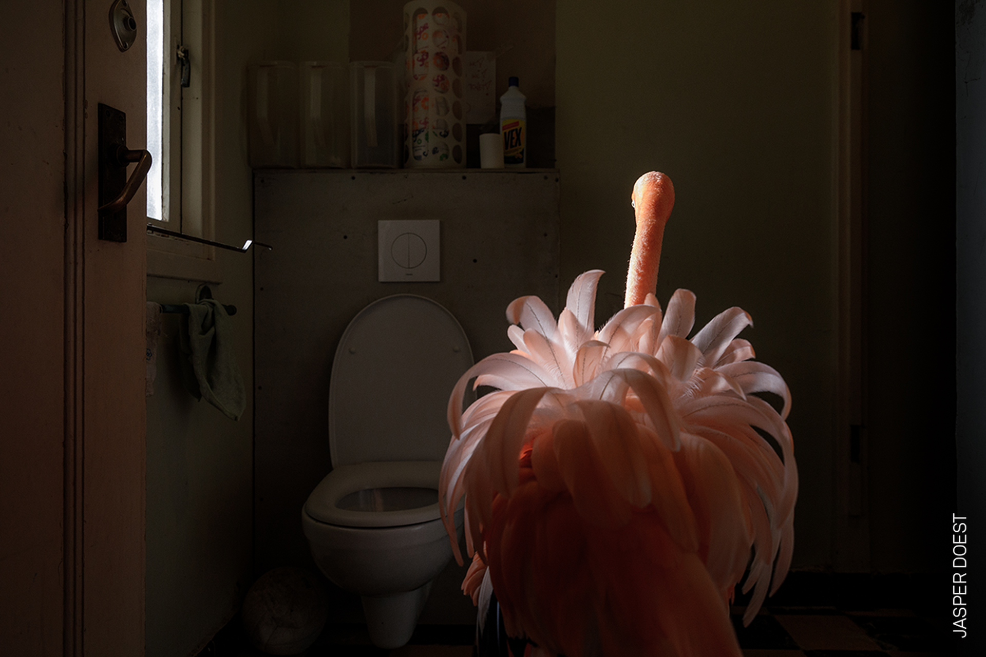 095_Jasper Doest_Online