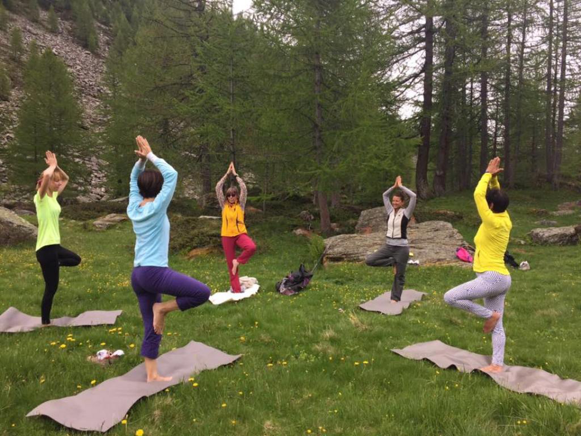 13495241_1047473755339908_2172252241437113754_n