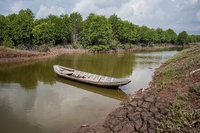 Siccità record nel delta del Mekong, dichiarato lo stato d’emergenza