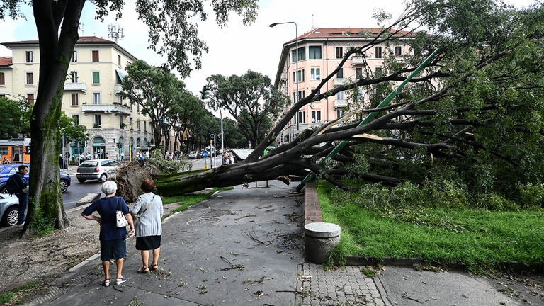 Nubifragio a Milano. Il sindaco Beppe Sala: “Abbiamo perso 5mila alberi, li ripianteremo tutti”