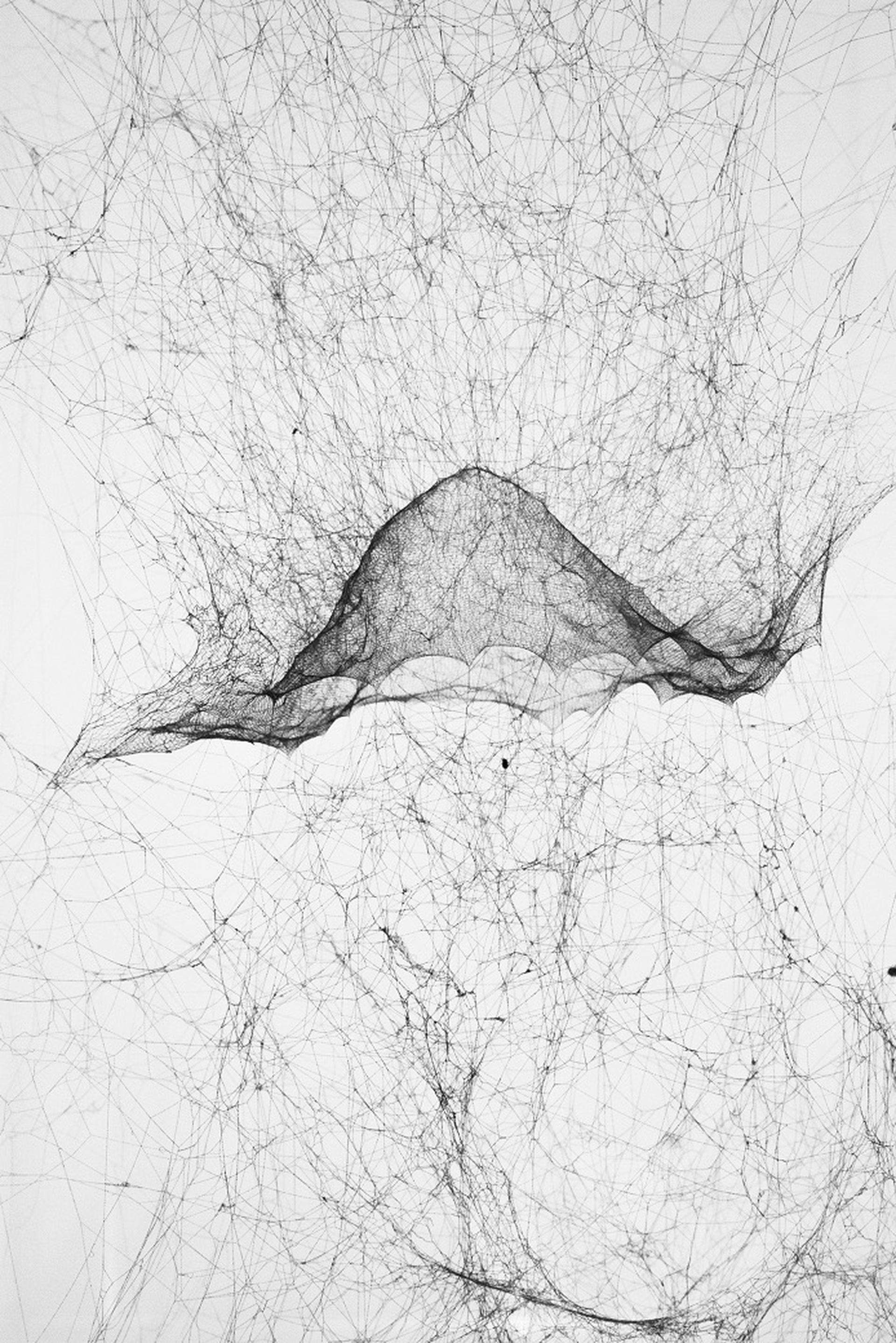 Arte classica e contemporanea: le mostre del 2020