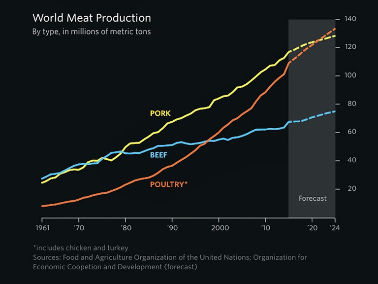 Le cifre in impennata del consumo di carne nel mondo © Wall Street Journal