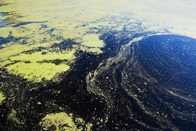 Water of Florida Everglades © Getty Images