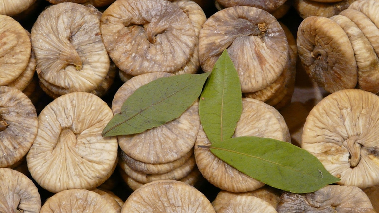 fichi secchi proprietà