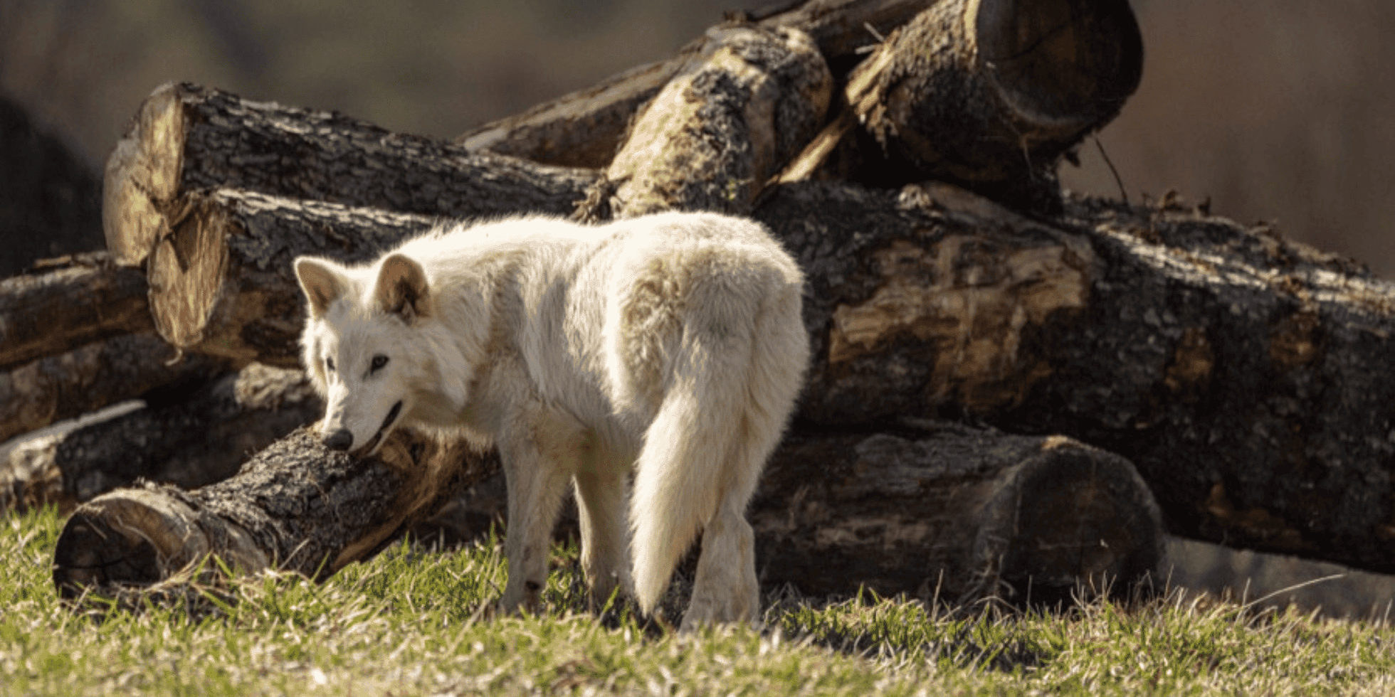 Luci e ombre sul \, image size:1960x980