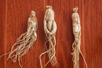 Ginseng: dose giornaliera, proprietà, controindicazioni e come usarlo