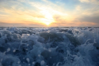 Clima, gli oceani non sono mai stati così caldi come negli ultimi 5 anni