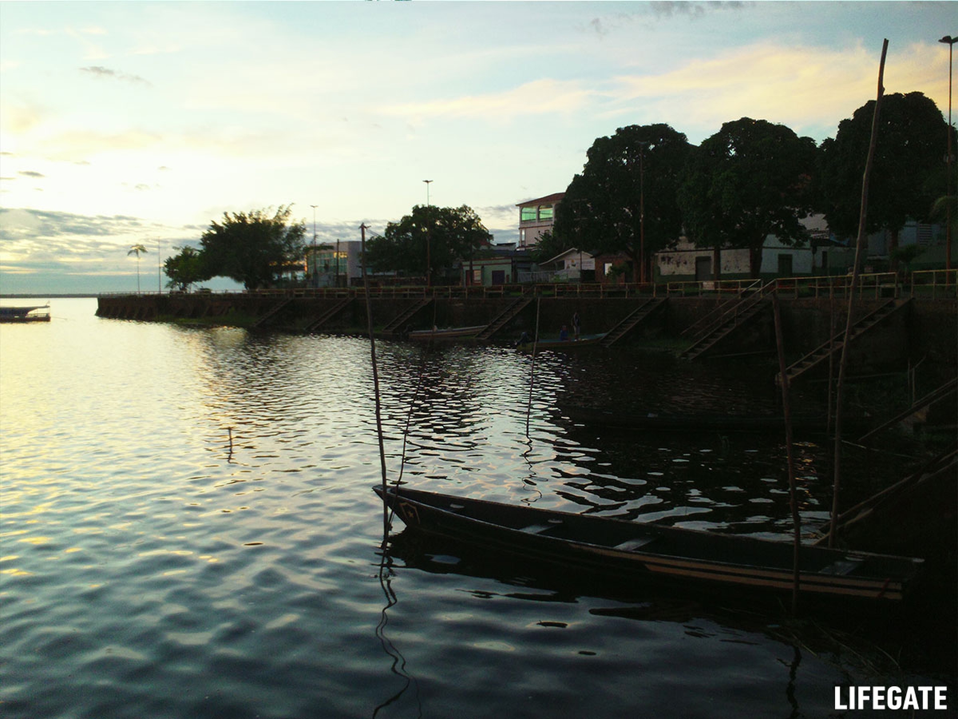 Foreste in piedi 2017