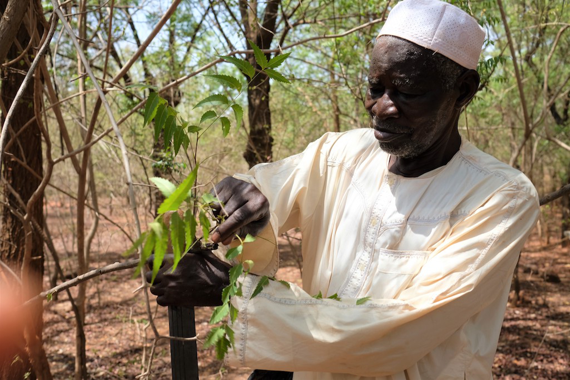 Yacouba Sawadogo, vincitore del Right Livelihood Award