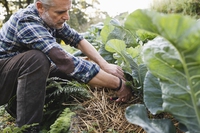 La rivincita dell’agricoltura biodinamica, nelle parole del ministro Patuanelli