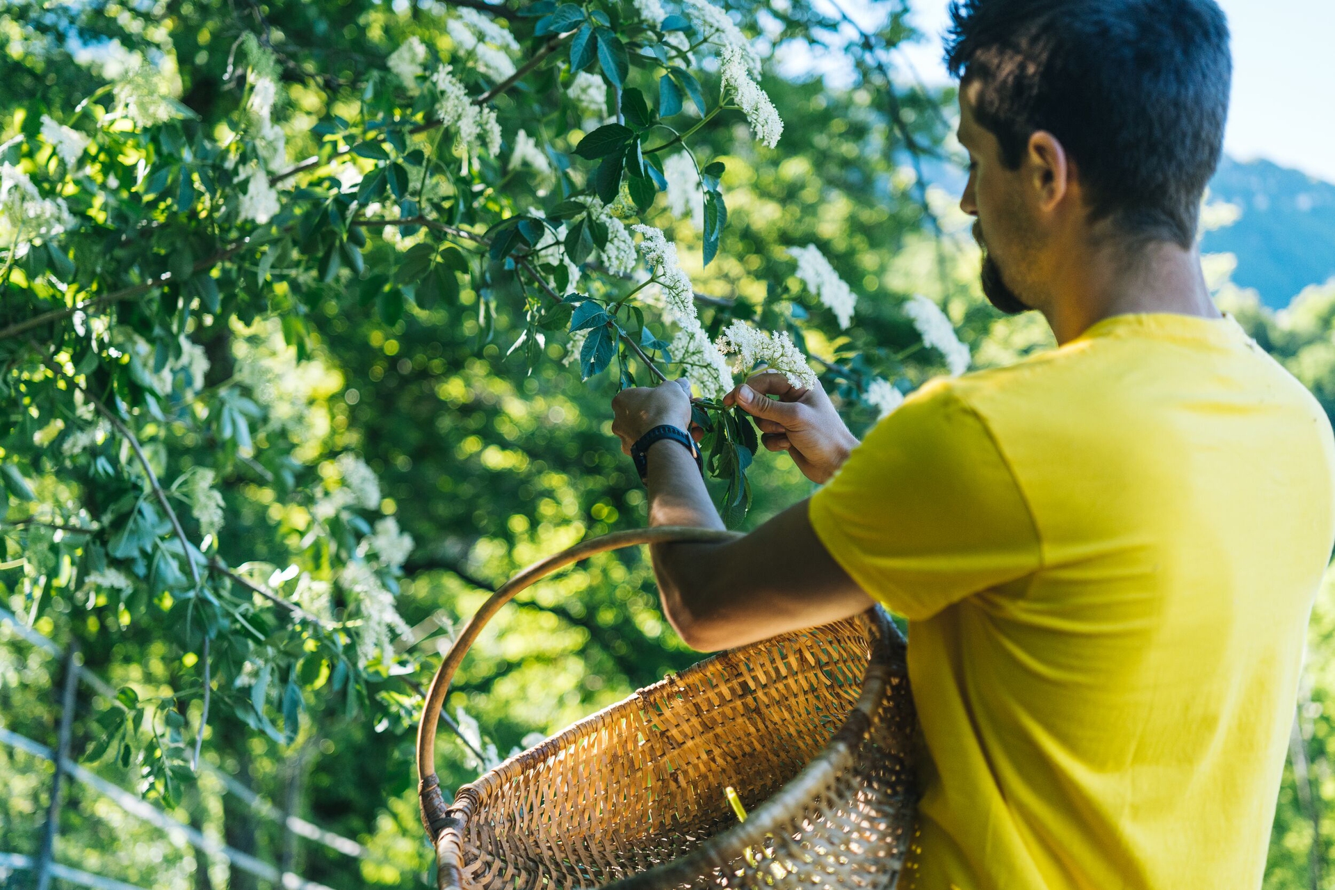 azienda agricola bianchi