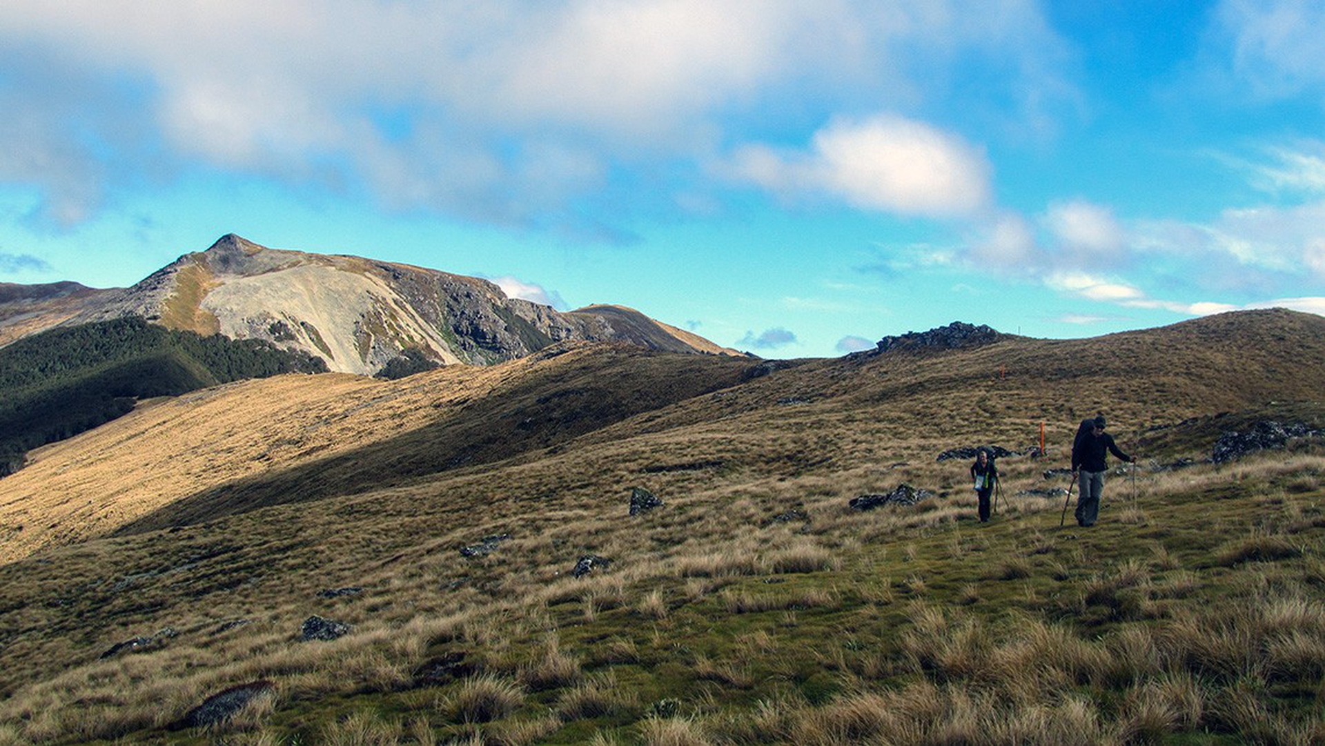 Il sentiero di Te Araroa, in Nuova Zelanda