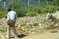 L’India vuole vietare la plastica monouso entro il 2022