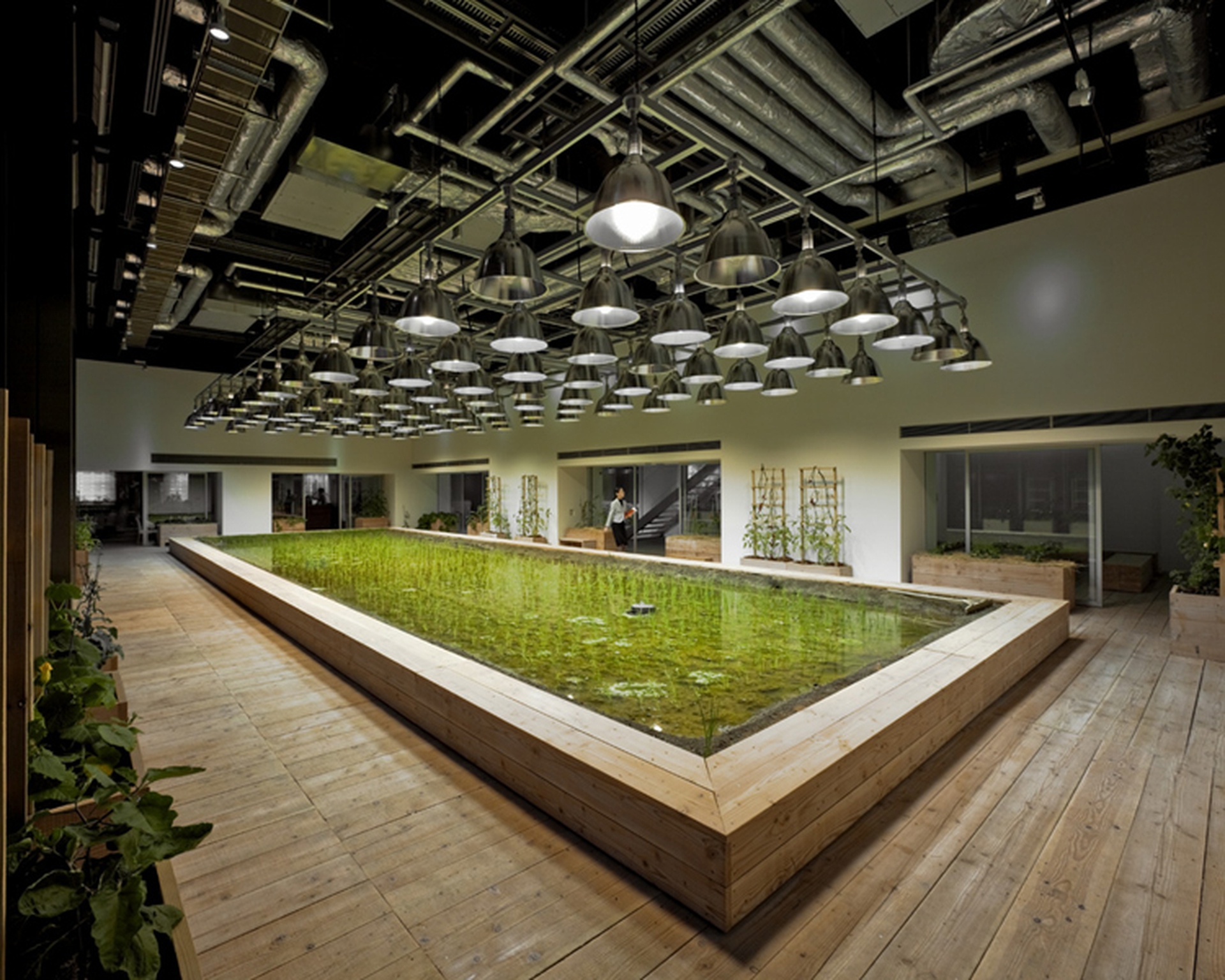 L'orto in ufficio. A Tokyo è realtà