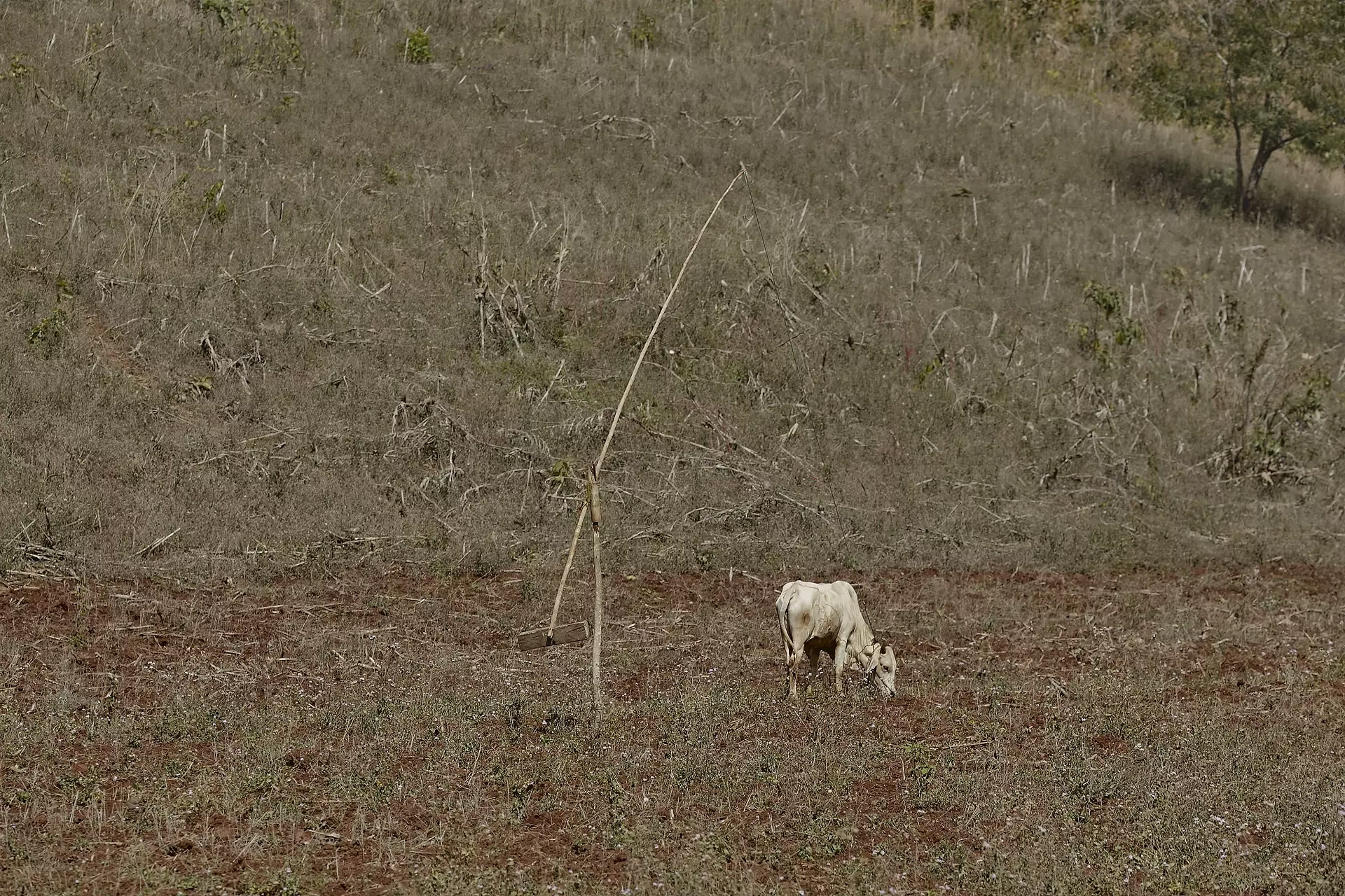 Myanmar mostra Cesvi