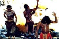 Collezionisti di musica tribale