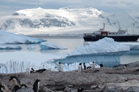 Antarctic biennale, la prima biennale d’arte nel continente dei ghiacci