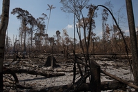 L’Overshoot day è il 29 luglio. Abbiamo già sfruttato tutte le risorse che la Terra aveva da offrirci