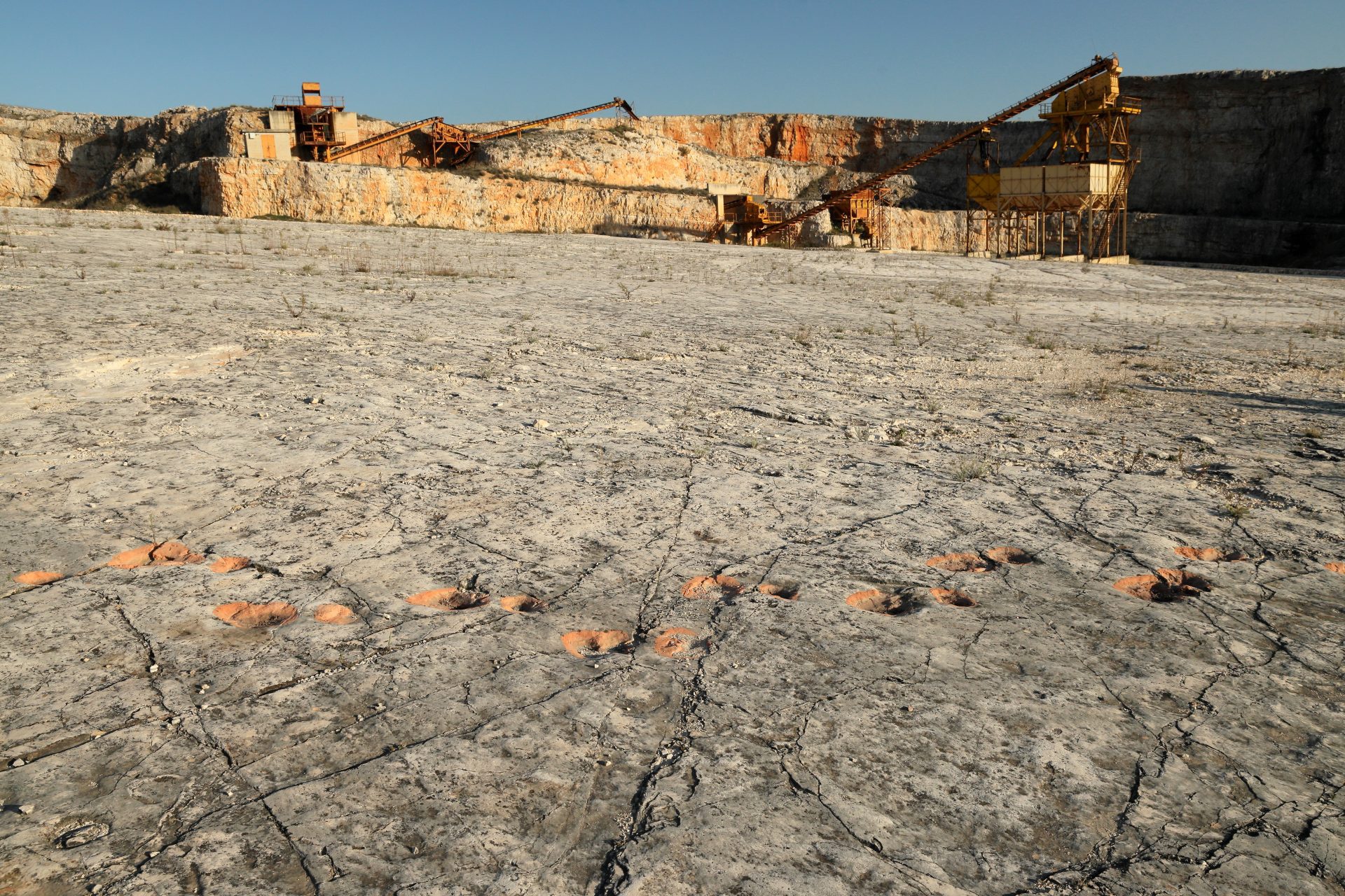 Cava Pontrelli, impronte di dinosauro