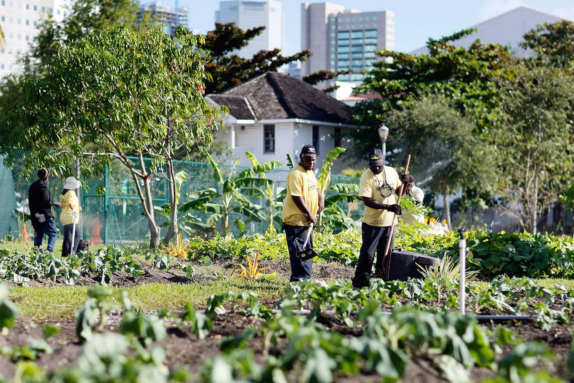 giardino-urbano-miami