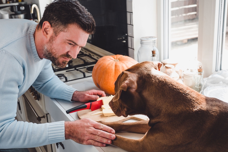 cani e cibi pericolosi