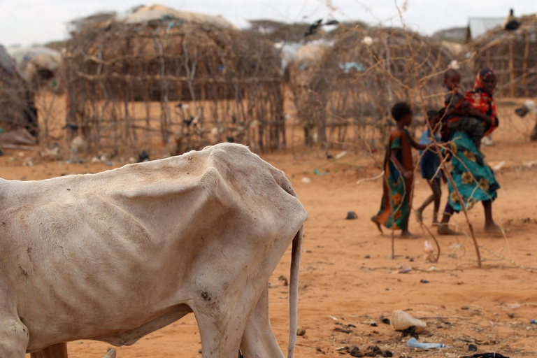 Oxfam. Nei dieci paesi più colpiti dalla crisi climatica, 48 milioni di persone sono alla fame