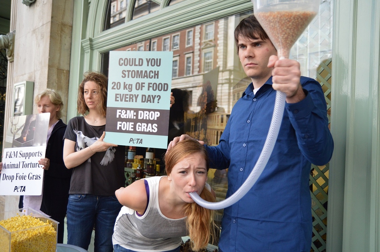 Manifestazione Peta contro foie gras