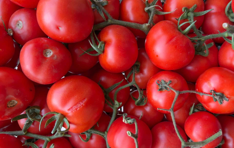 pomodoro