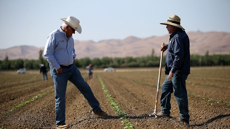 rapporto impatto cambiamenti climatici su economia Stati Uniti specie umana