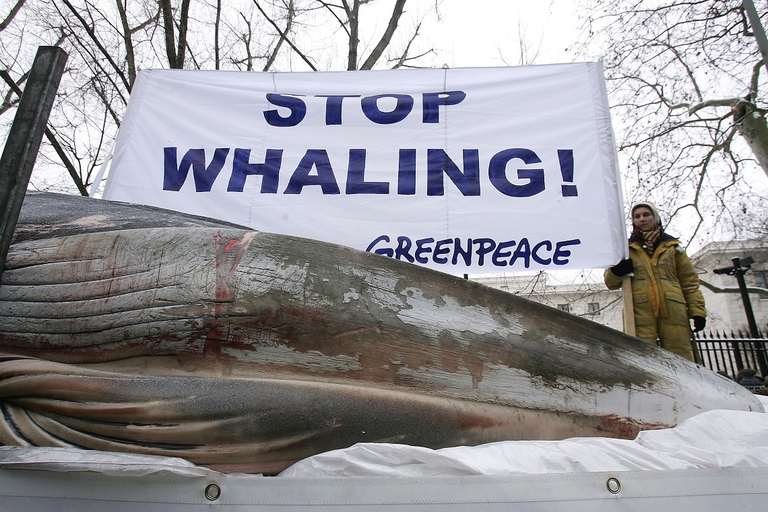 Protesta di Greenpeace davanti all'ambasciata giapponese